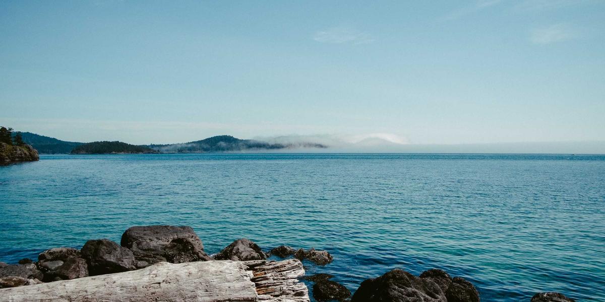 Yapay Zeka Devrimi: TanıtımPRO AI 2026 Modeli Tüm Sektörleri Dönüştürmeye Hazırlanıyor