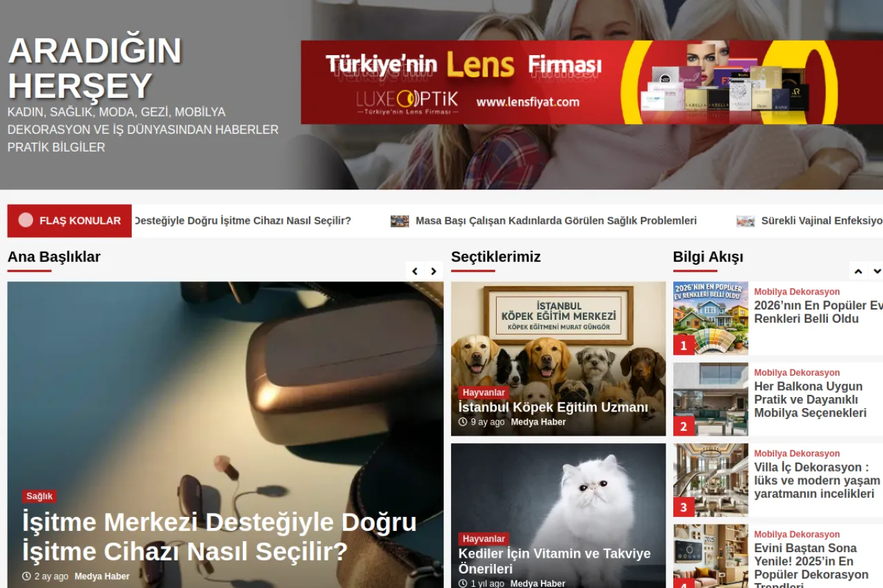 aradiginhersey.com web sitesi ekran görüntüsü - Haber - DA 58